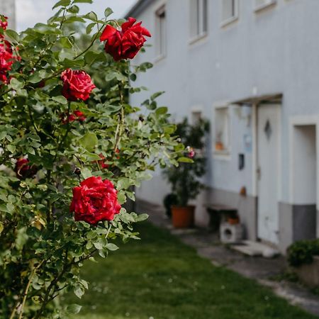 Ferienwohnung Morgensonne Schuetzen am Gebirge ภายนอก รูปภาพ