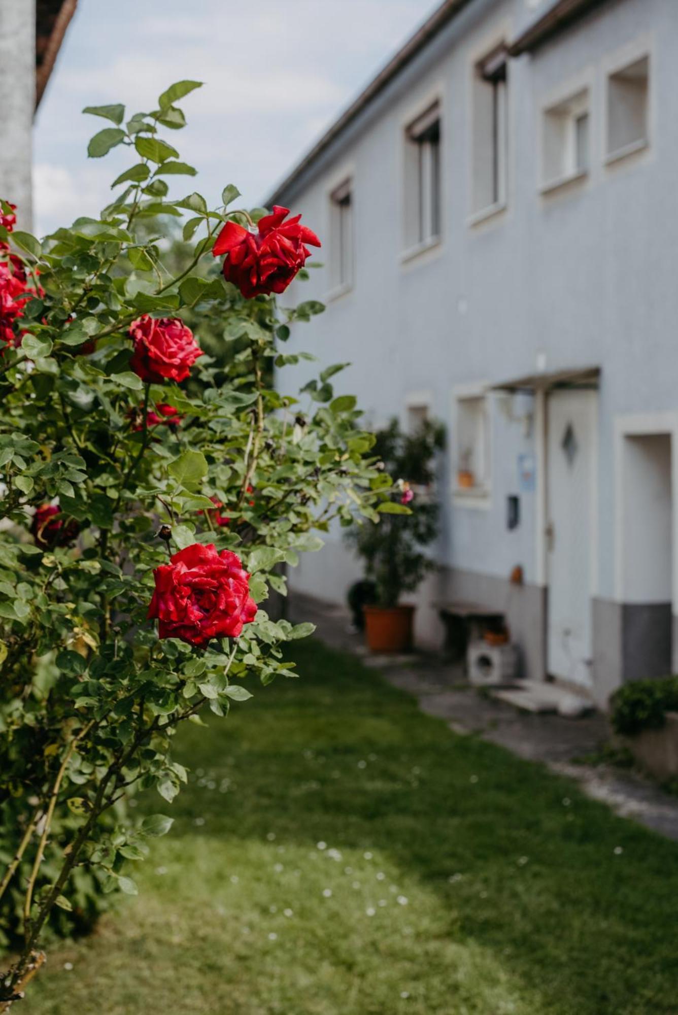 Ferienwohnung Morgensonne Schuetzen am Gebirge ภายนอก รูปภาพ